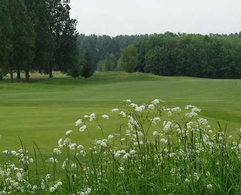 Implementatie Wet natuurbescherming