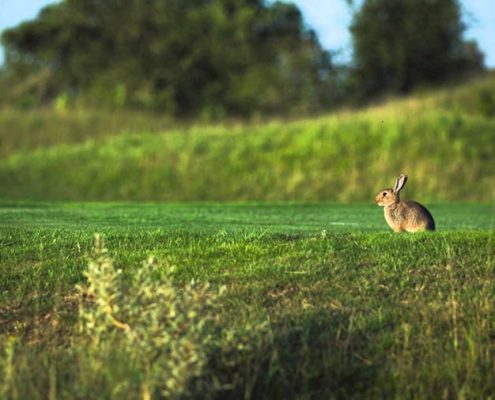 Visieontwikkeling Kennemer Golf & Country Club