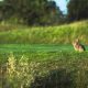 Visieontwikkeling Kennemer Golf & Country Club